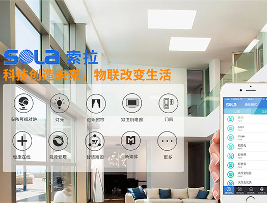 第十三屆全國人大指出“發(fā)展智能產(chǎn)業(yè)，拓展智能生活”
